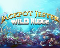 Jackpot Jester Wild Nudge