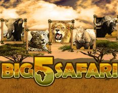 Big 5 Safari