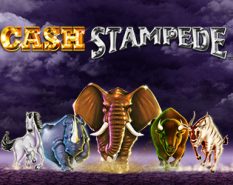 Cash Stampede