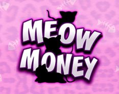 Meow Money