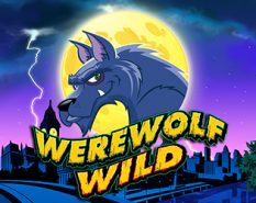 Werewolf Wild