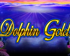 Dolphin Gold