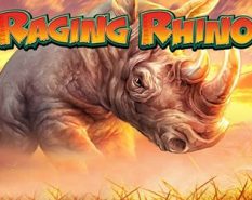 Raging Rhino