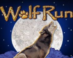 Wolf Run