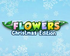 Flowers Christmas Edition