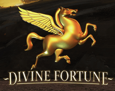 Divine Fortune