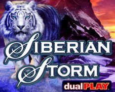 Siberian Storm Dual Play