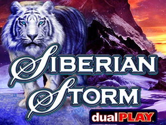 Siberian Storm Dual Play