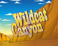 Wild Cat Canyon