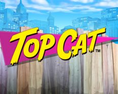 Top Cat