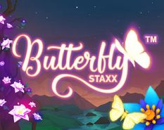 Butterfly Staxx