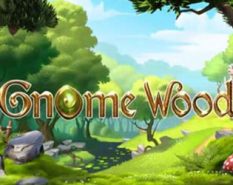 Gnome Wood