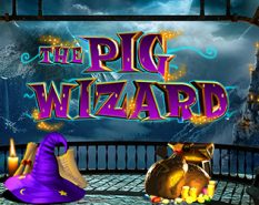 Pig Wizard