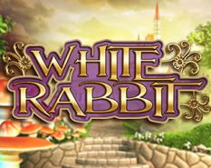 White Rabbit