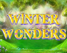 Winter Wonders