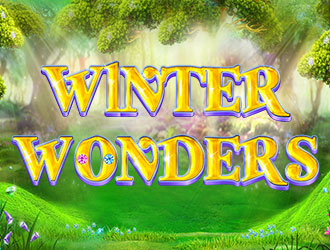 Winter Wonders