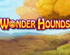 Wonder Hounds