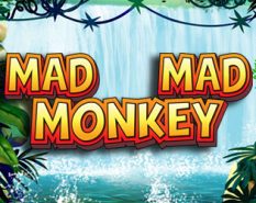 Mad Mad Monkey