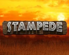 Stampede