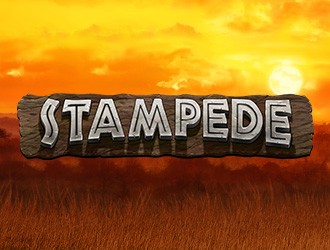 Stampede