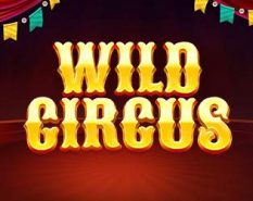 Wild Circus