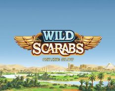 Wild Scarabs