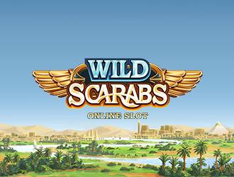 Wild Scarabs