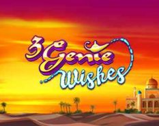 3 Genie Wishes