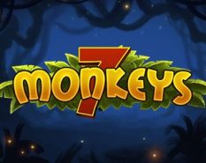 7 Monkeys