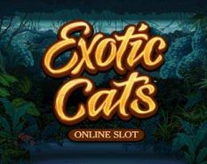 Exotic Cats