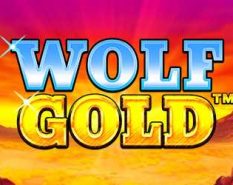 Wolf Gold