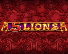 5 Lions