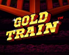 Gold Train