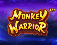 Monkey Warrior