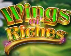 Wings of Riches