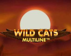 Wild Cats Multiline MUST DROP