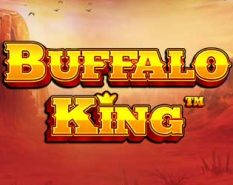 Buffalo King